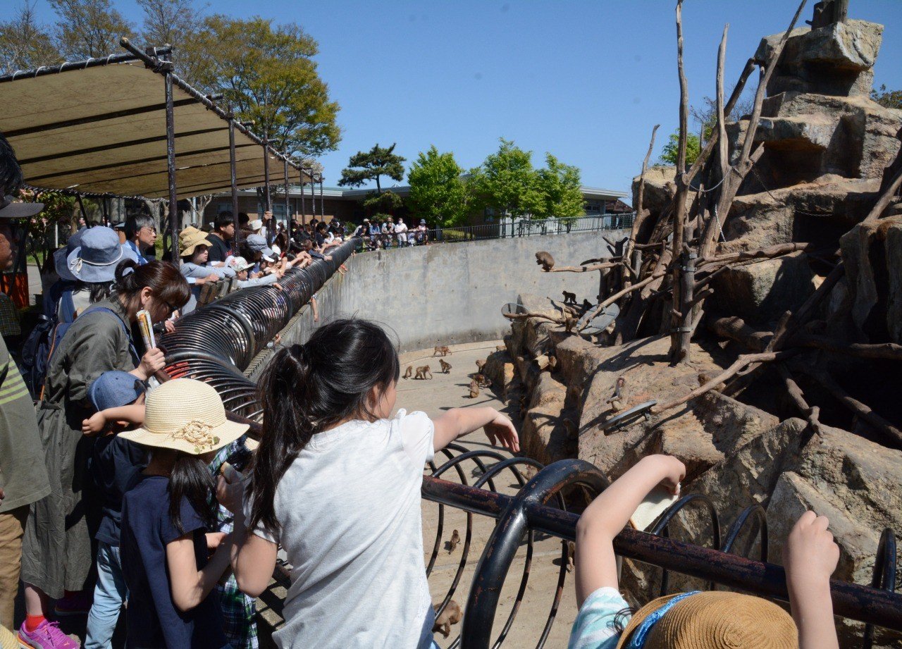 🐘 아키타시 오모리야마 동물원(아키타시 오모리야마 도오부츠엔) 이미지 4